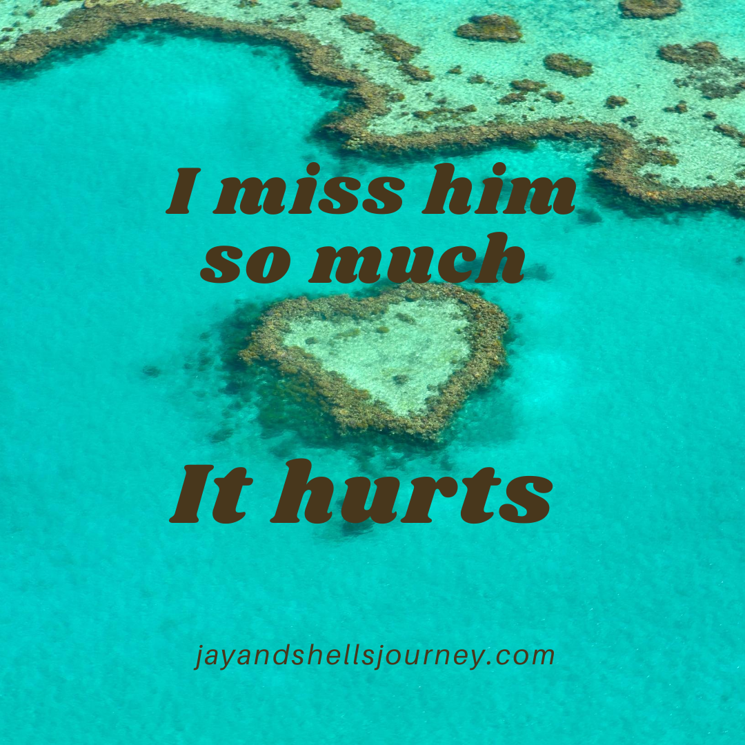 miss-him-so-much-it-hurts-jay-and-shell-s-journey