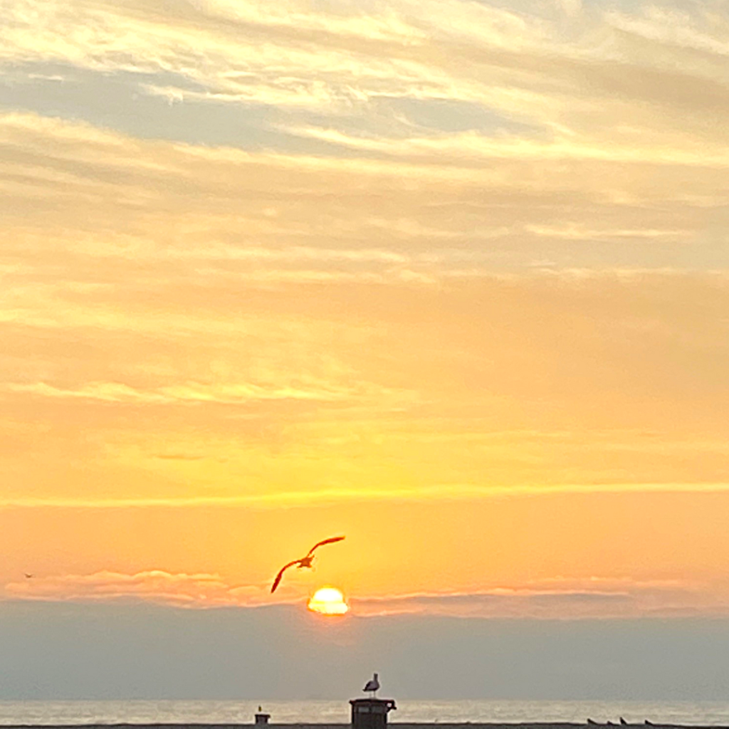 A picture of sunset at Huntington Beach, California, with one seagull flying in front of the sun and another seagull sitting on the trash can.